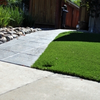 Synthetic Grass Salton Sea Beach California Lawn Back Yard