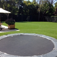 Synthetic Grass Sports Villa Park California Back Yard