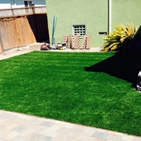 Synthetic Pet Turf Homeland California for Dogs Front Yard