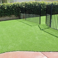 Synthetic Pets Areas Sky Valley California Installation