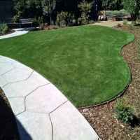 Synthetic Turf Anza California Lawn Back Yard