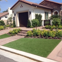Synthetic Turf El Cerrito California Landscape Back Yard