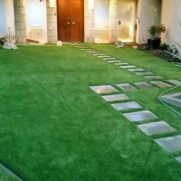 Synthetic Turf Idyllwild California Lawn Front Yard
