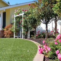 Synthetic Turf Idyllwild-Pine Cove California Landscape