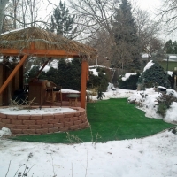 Synthetic Turf Ladera Ranch California Lawn Back Yard