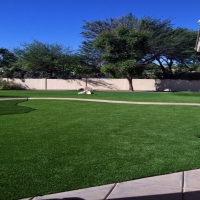 Synthetic Turf Lake San Marcos California Landscape Back
