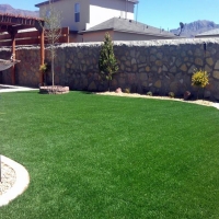 Synthetic Turf Mission Viejo California Landscape Back