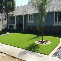 Synthetic Turf San Jacinto California Lawn Back Yard