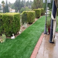Synthetic Turf San Jacinto California Landscape Back Yard
