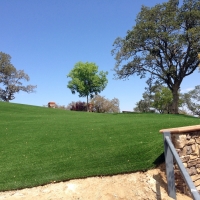 Synthetic Turf Valley Center California Landscape Recreational