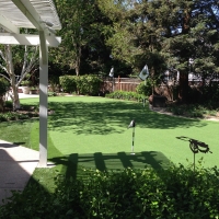 Turf Grass Eucalyptus Hills, California Lawn And Landscape