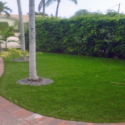 Artificial Grass Aguanga California Landscape Fountans