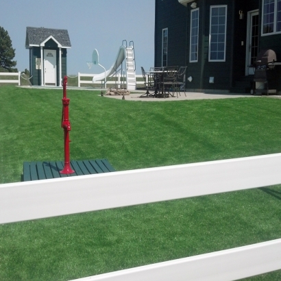 Artificial Grass Aliso Viejo California Landscape