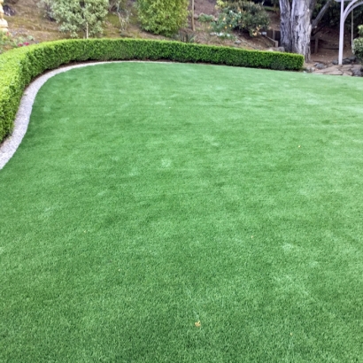 Artificial Grass Artesia California Lawn