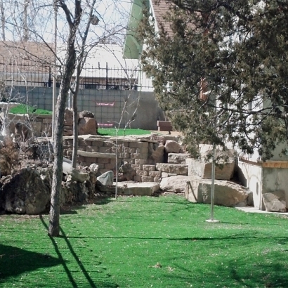 Artificial Grass Canyon Lake California Lawn Back Yard