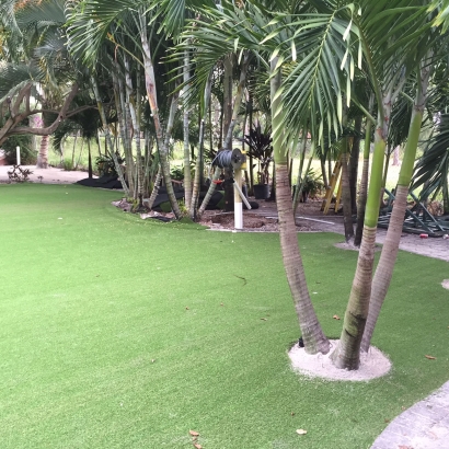 Artificial Grass Carpet Poway, California Home And Garden, Commercial Landscape
