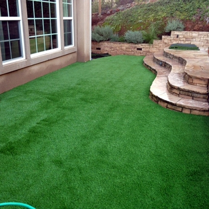 Artificial Grass Desert Hot Springs California Landscape