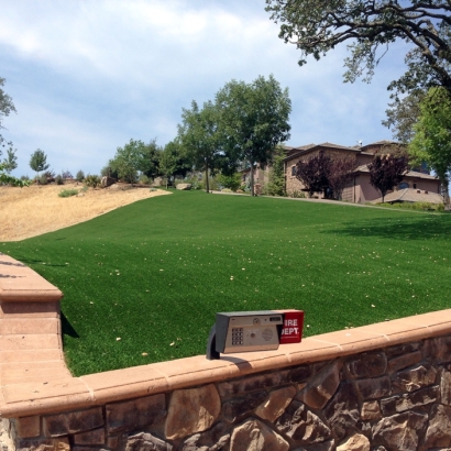 Artificial Grass East Hemet California Landscape Back Yard