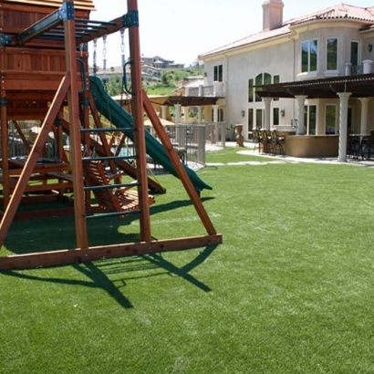 Artificial Grass Encinitas California School Back Yard