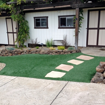 Artificial Grass Huntington Beach California Landscape Back