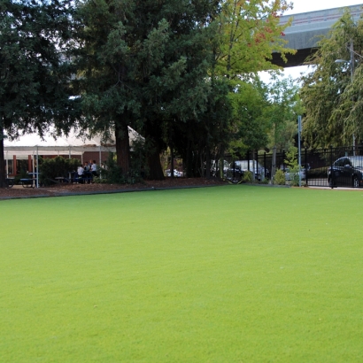 Artificial Grass Idyllwild-Pine Cove California Landscape