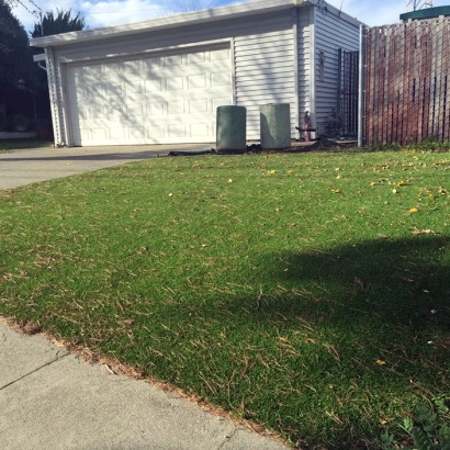 Artificial Grass Indio Hills California Landscape