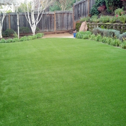 Artificial Grass Lakeland Village California Landscape Front