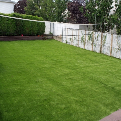 Artificial Grass San Clemente California Lawn Front Yard