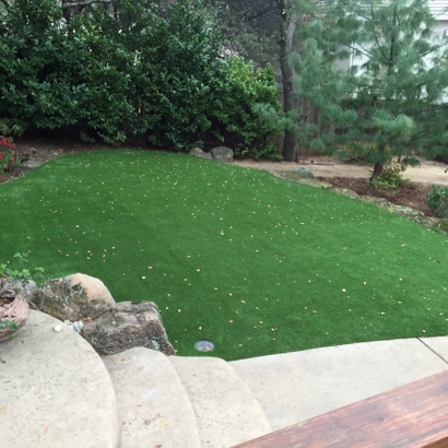 Artificial Grass Signal Hill California Lawn