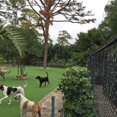 Artificial Pet Turf Imperial California Installation Back