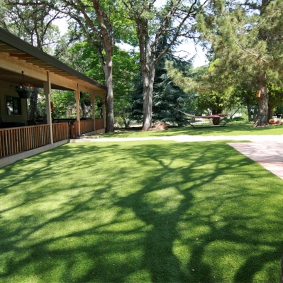 Artificial Pets Areas Anza California for Dogs Back Yard