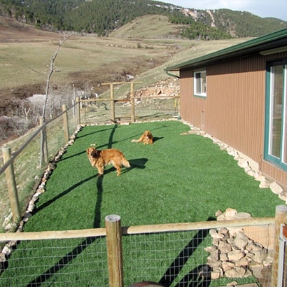 Artificial Pets Areas Lakeside California for Dogs Front