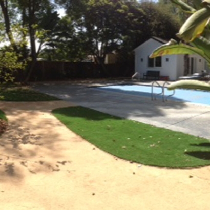 Artificial Turf Cost Campo, California Landscape Photos, Backyard Landscaping Ideas