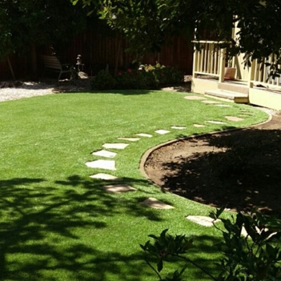 Artificial Turf Cost Mount Laguna, California Garden Ideas, Backyard Designs