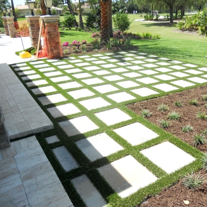 Artificial Turf Coto De Caza California Lawn Back Yard