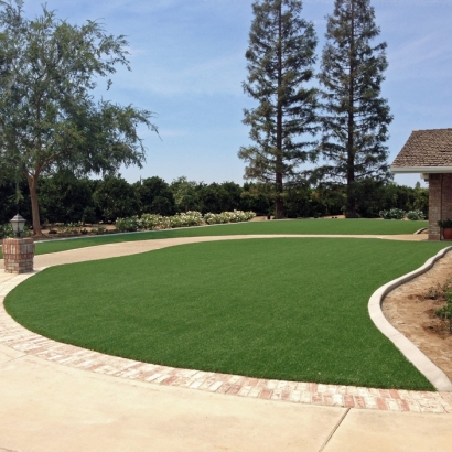 Artificial Turf Lake Forest California Landscape Back Yard
