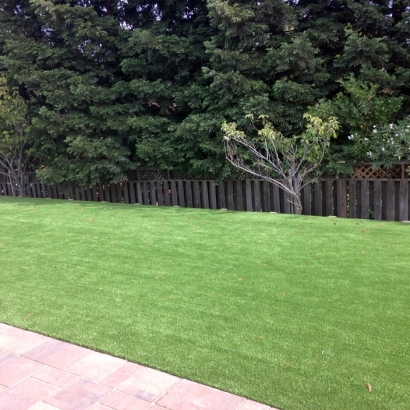 Artificial Turf Salton Sea Beach California Landscape Pavers