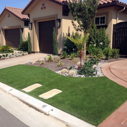 Artificial Turf San Pasqual California Lawn Parks
