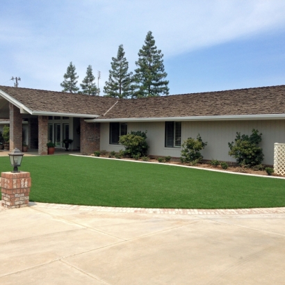 Artificial Turf Valley Center California Landscape Front