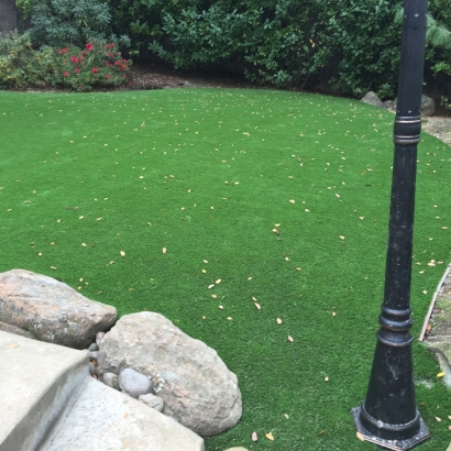 Fake Grass Artesia California Landscape