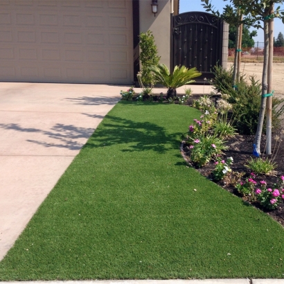 Fake Grass Canyon Lake California Landscape Front Yard