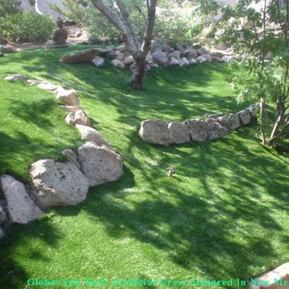 Fake Grass Coronado California Lawn