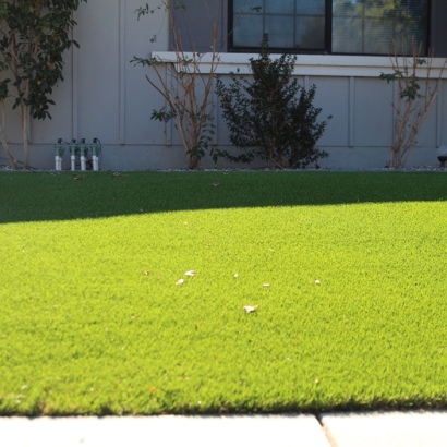 Fake Grass East La Mirada California Landscape