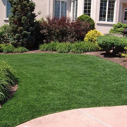 Fake Grass Encinitas California Landscape Commercial Landscape