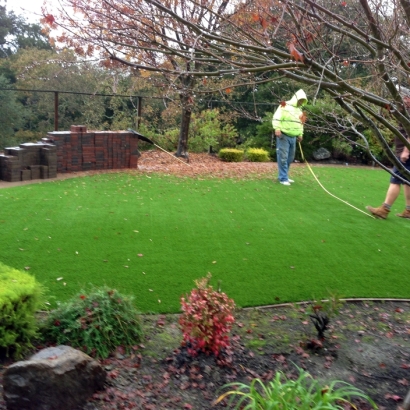 Fake Grass Home Gardens California Landscape
