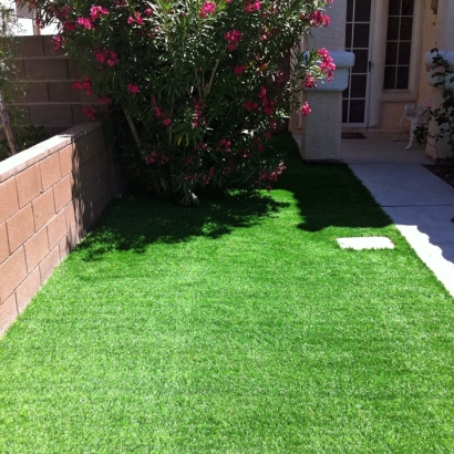 Fake Grass Lakeland Village California Landscape Front