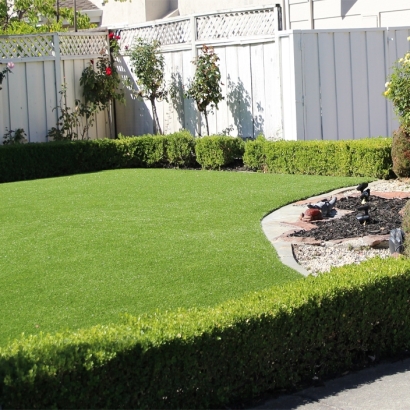 Fake Grass Oasis California Lawn Back Yard