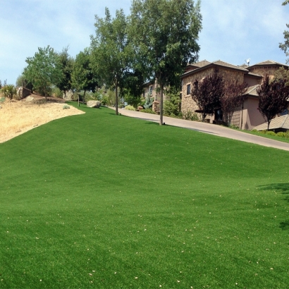 Fake Grass Oceanside California Landscape Back Yard