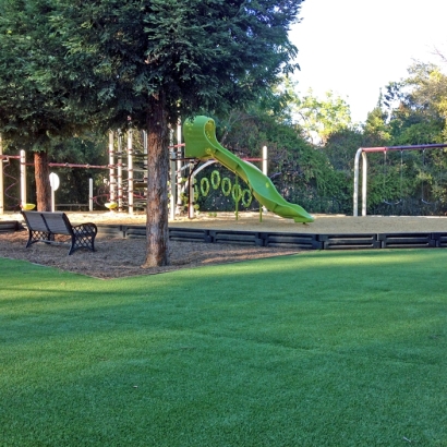 Fake Grass Oceanside California School Commercial Landscape