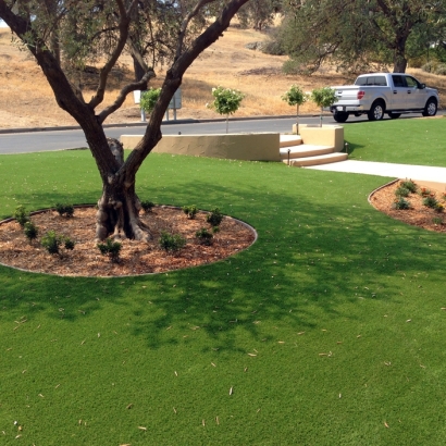Fake Grass Quail Valley California Landscape Parks